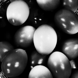 Verein Kunstraum Baden